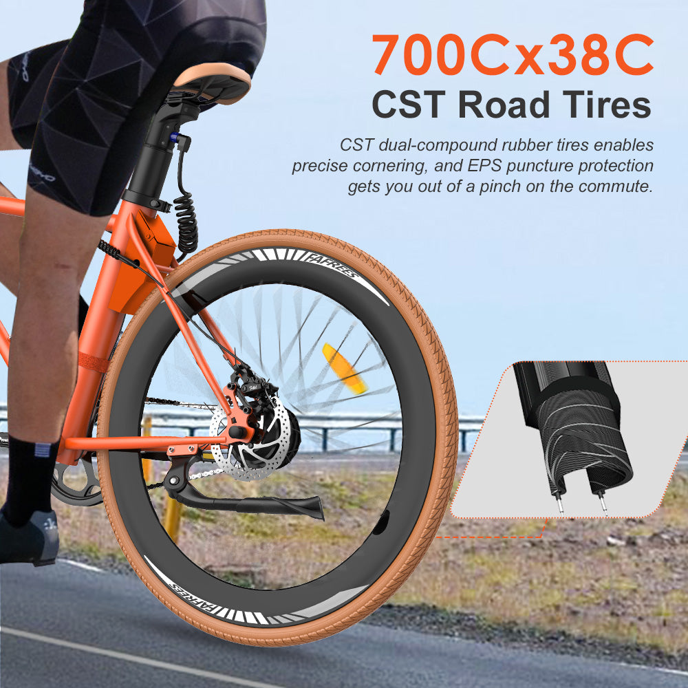 FAFREES Electric Bike,E-City Bike ,electric bicycle,ebike,E-bike,Pedelec,city ebike