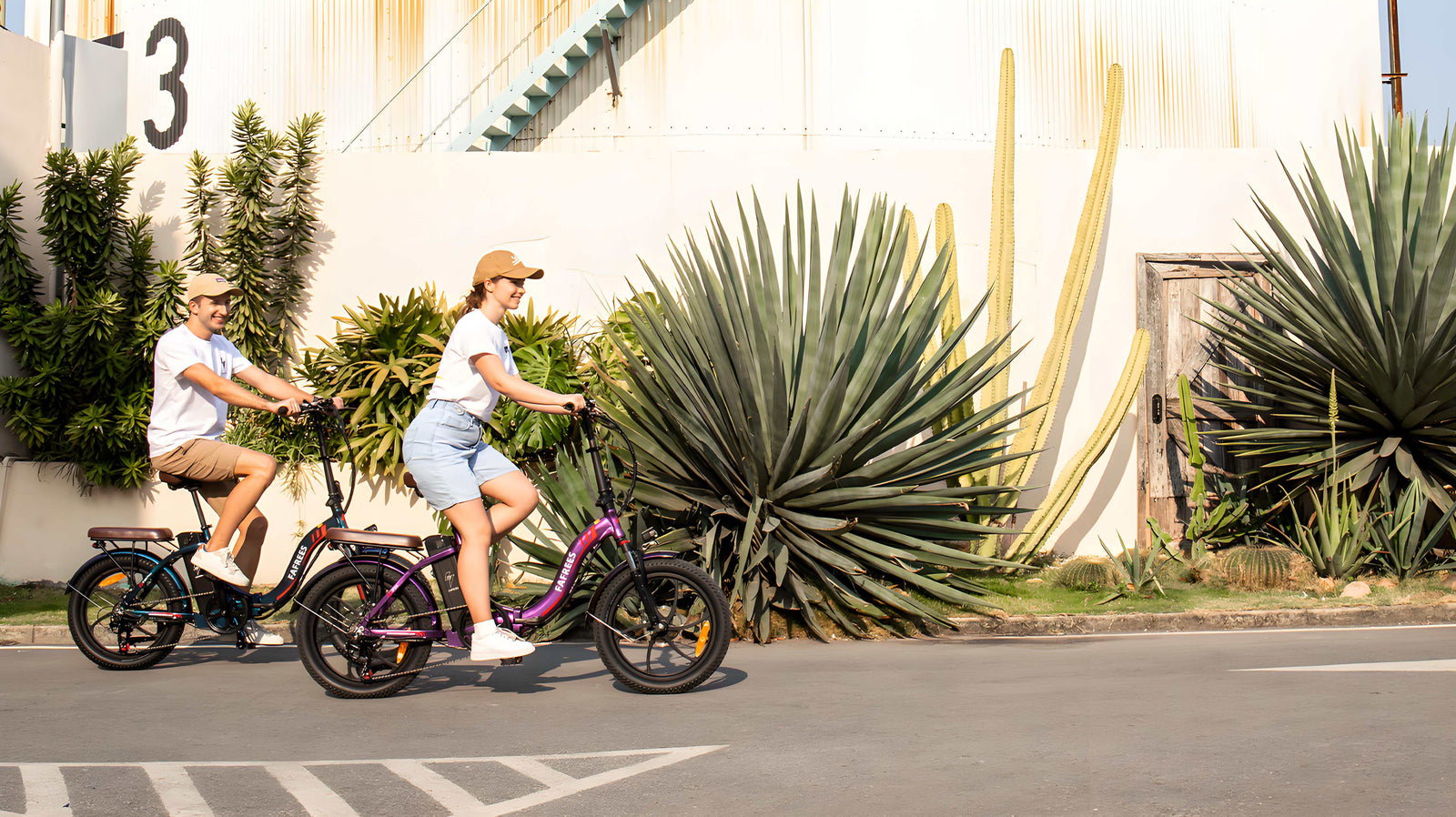 FAFREES Electric bikes ebike