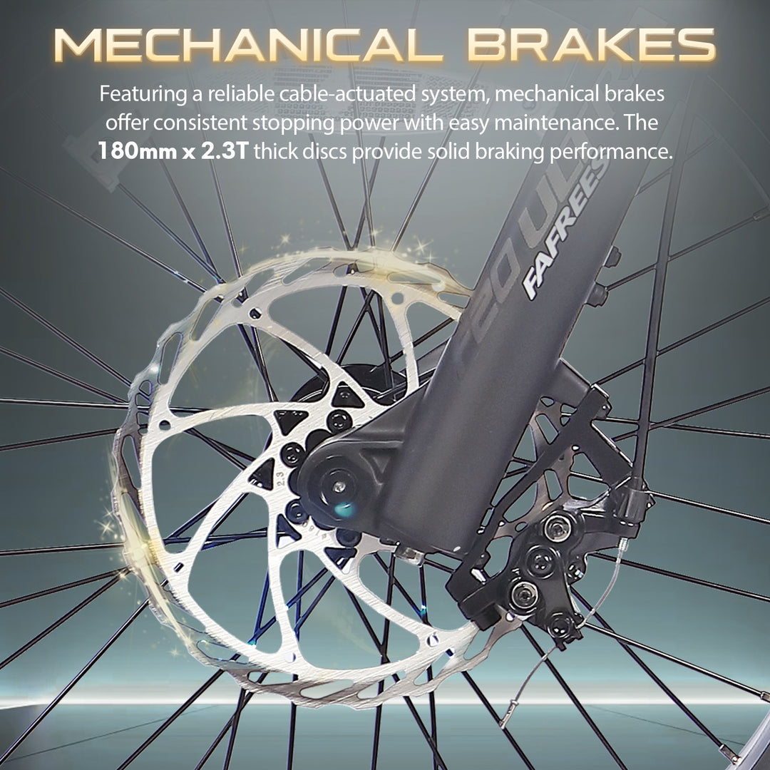 FAFREES .electric bicycle、electric bike、e-bike、motorized bicycle、power-assisted bicycle ,All Terrain Electric Bike,Off-road electric bikes,fat tires