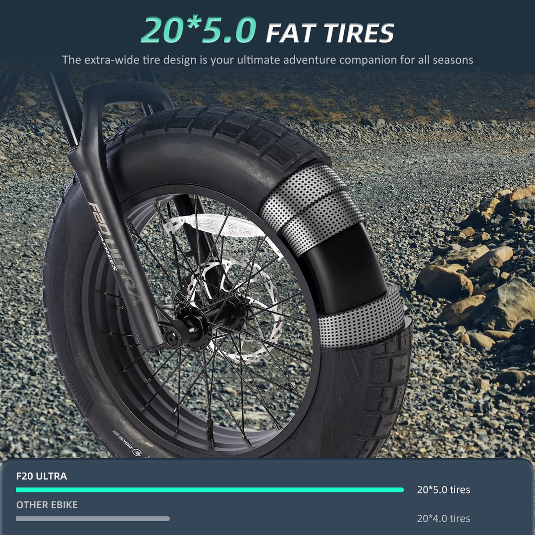 FAFREES .electric bicycle、electric bike、e-bike、motorized bicycle、power-assisted bicycle ,All Terrain Electric Bike,Off-road electric bikes,fat tires