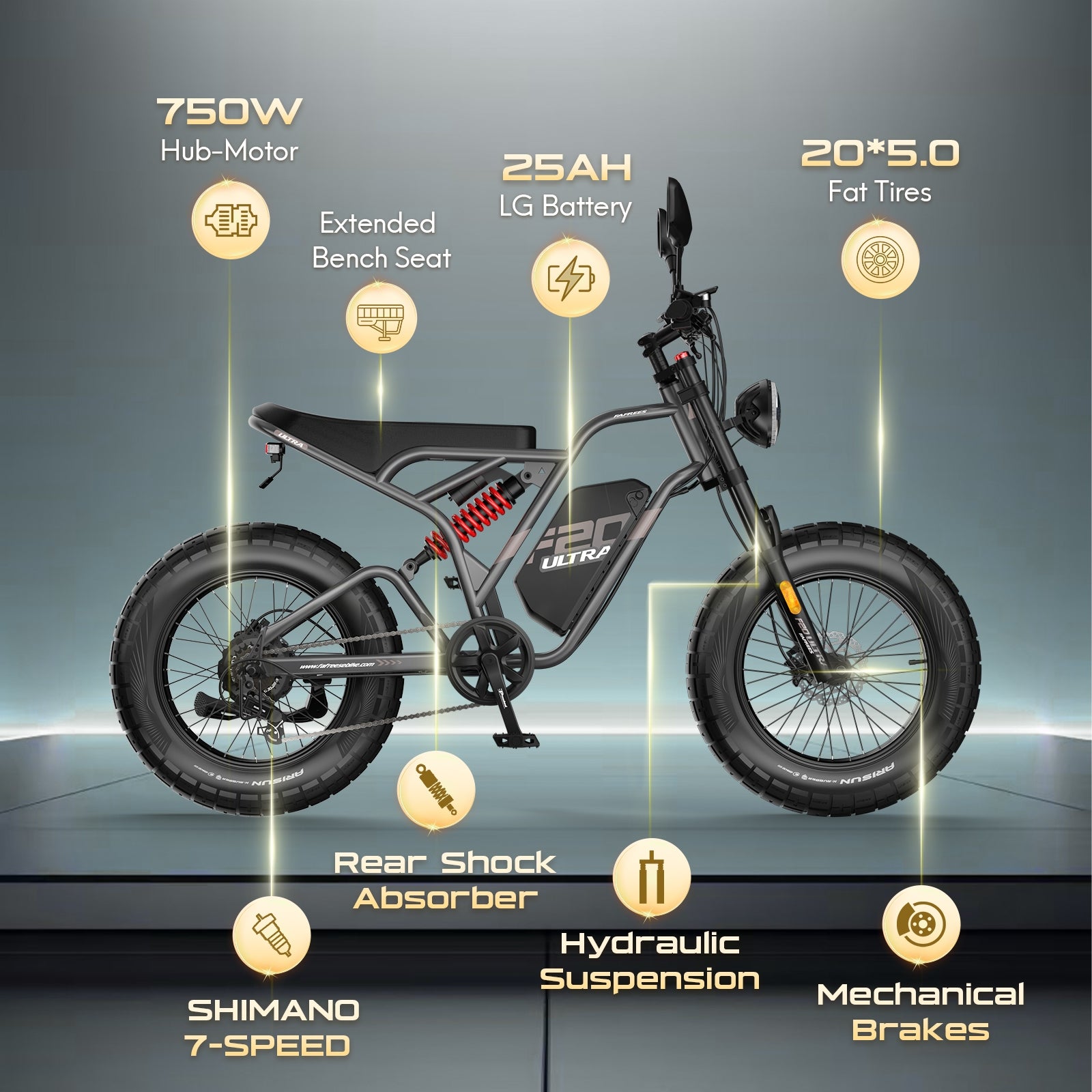 FAFREES .electric bicycle、electric bike、e-bike、motorized bicycle、power-assisted bicycle ,All Terrain Electric Bike,Off-road electric bikes,fat tires
