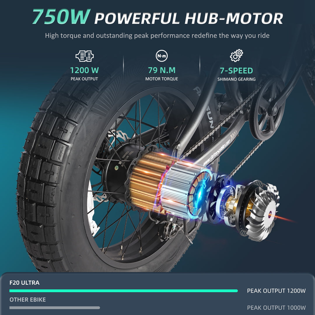 FAFREES .electric bicycle、electric bike、e-bike、motorized bicycle、power-assisted bicycle ,All Terrain Electric Bike,Off-road electric bikes,fat tires