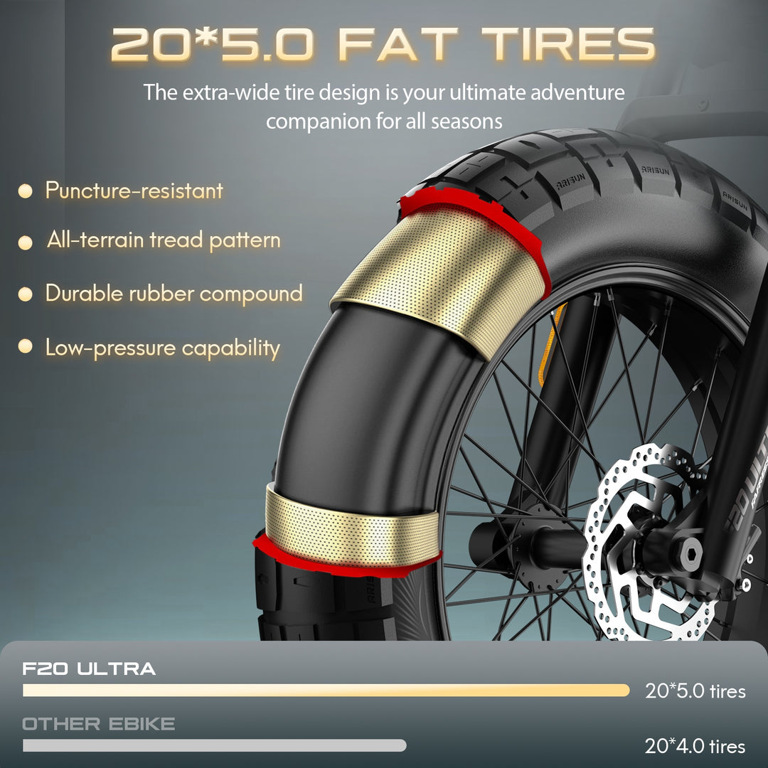 FAFREES .electric bicycle、electric bike、e-bike、motorized bicycle、power-assisted bicycle ,All Terrain Electric Bike,Off-road electric bikes,fat tires