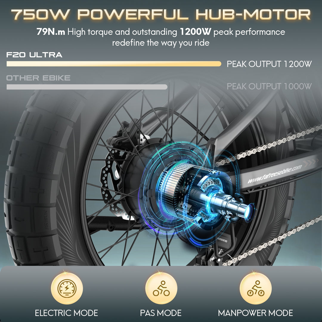 FAFREES .electric bicycle、electric bike、e-bike、motorized bicycle、power-assisted bicycle ,All Terrain Electric Bike,Off-road electric bikes,fat tires