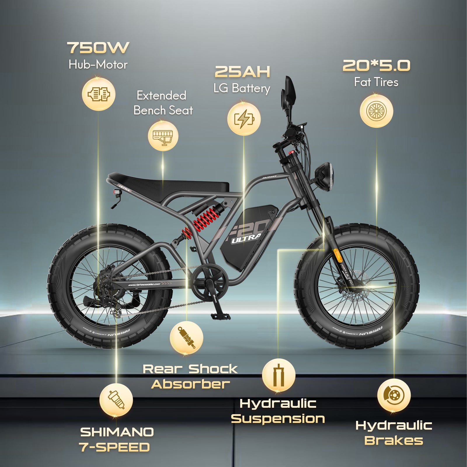 FAFREES .electric bicycle、electric bike、e-bike、motorized bicycle、power-assisted bicycle ,All Terrain Electric Bike,Off-road electric bikes,fat tires