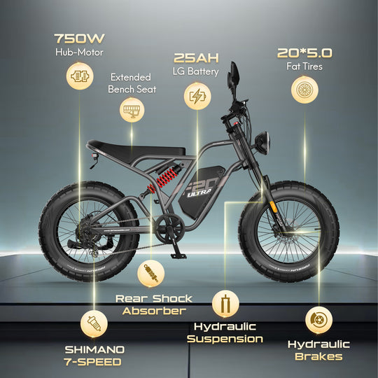 FAFREES .electric bicycle、electric bike、e-bike、motorized bicycle、power-assisted bicycle ,All Terrain Electric Bike,Off-road electric bikes,fat tires