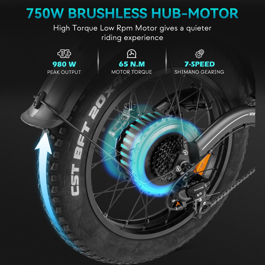 FAFREES .electric bicycle、electric bike、e-bike、motorized bicycle、power-assisted bicycle ,