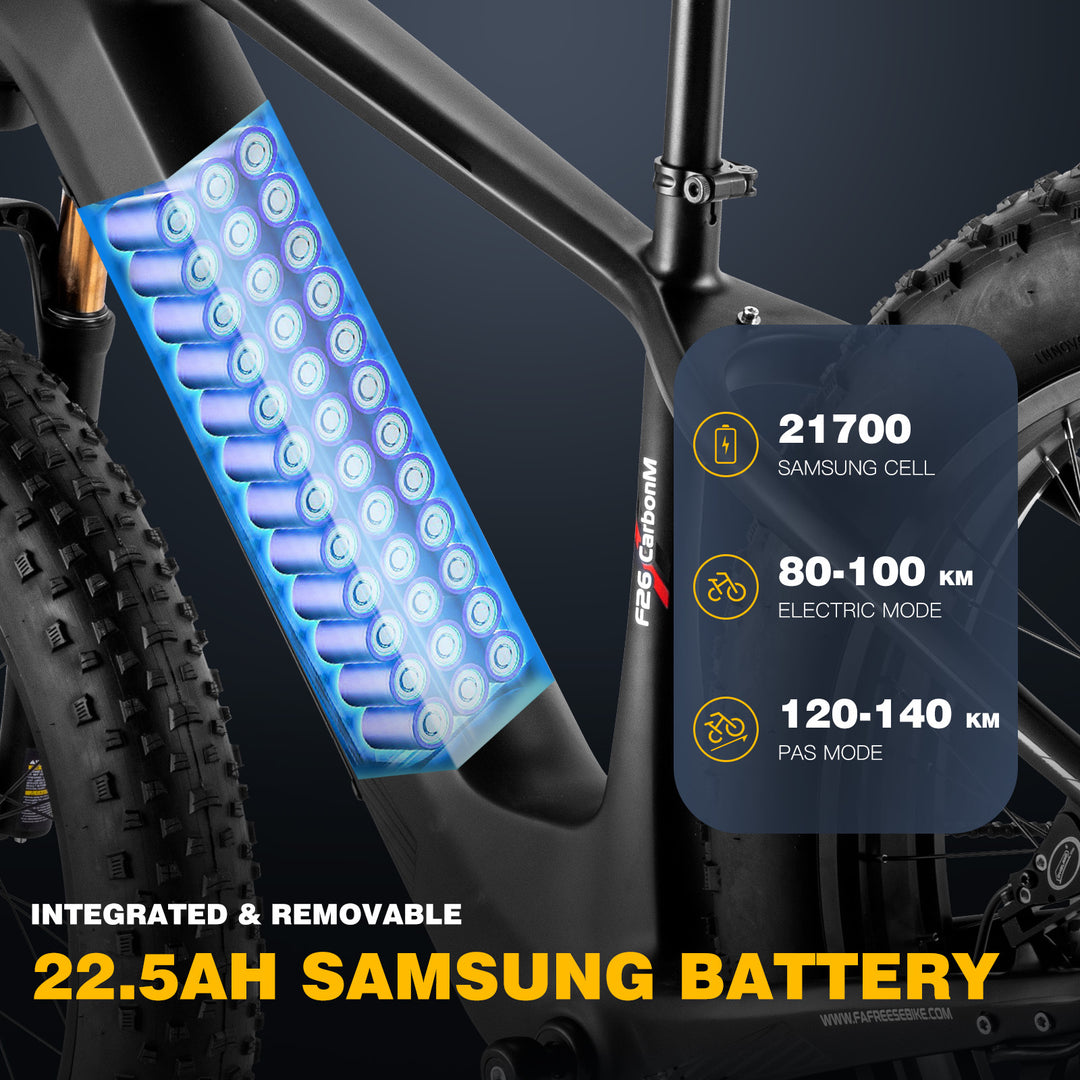 FAFREES electric bicycle,E-Mountain bike,Electric Bike,ebike,Fat Tire E-bike,city ebike,E-Cross Bike,Pedelec