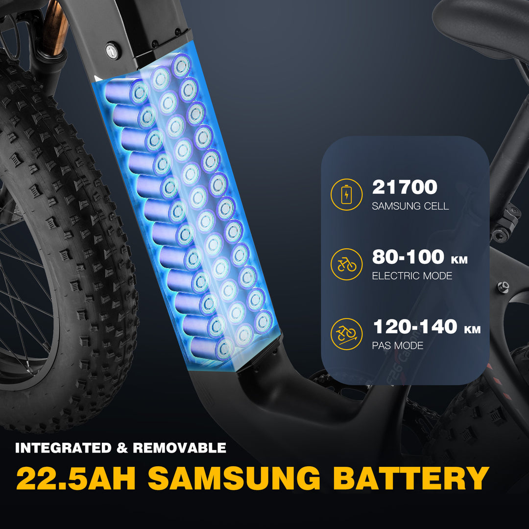 FAFREES electric bicycle,E-Mountain bike,Electric Bike,ebike,Fat Tire E-bike,city ebike,E-Cross Bike,Pedelec