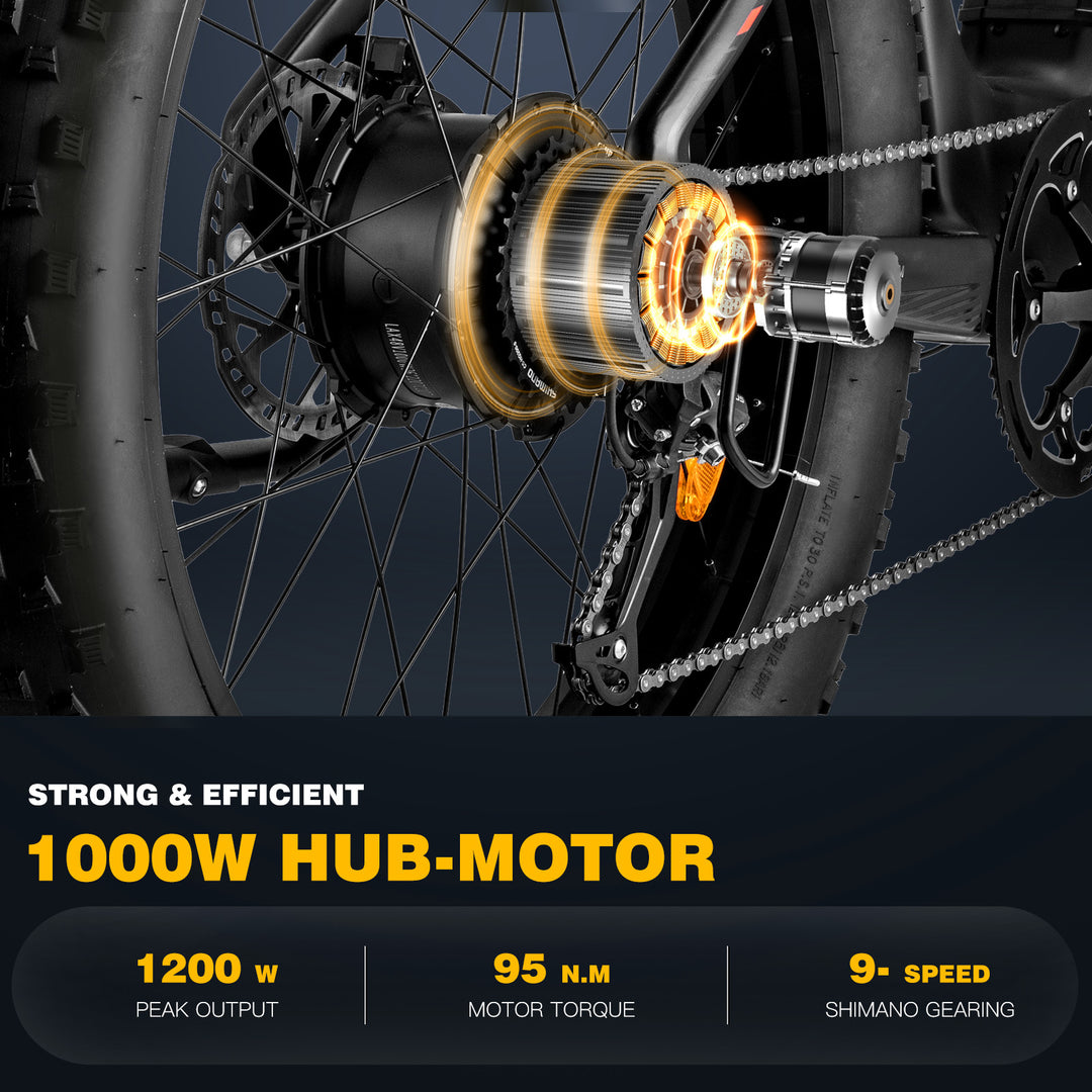 FAFREES electric bicycle,E-Mountain bike,Electric Bike,ebike,Fat Tire E-bike,city ebike,E-Cross Bike,Pedelec