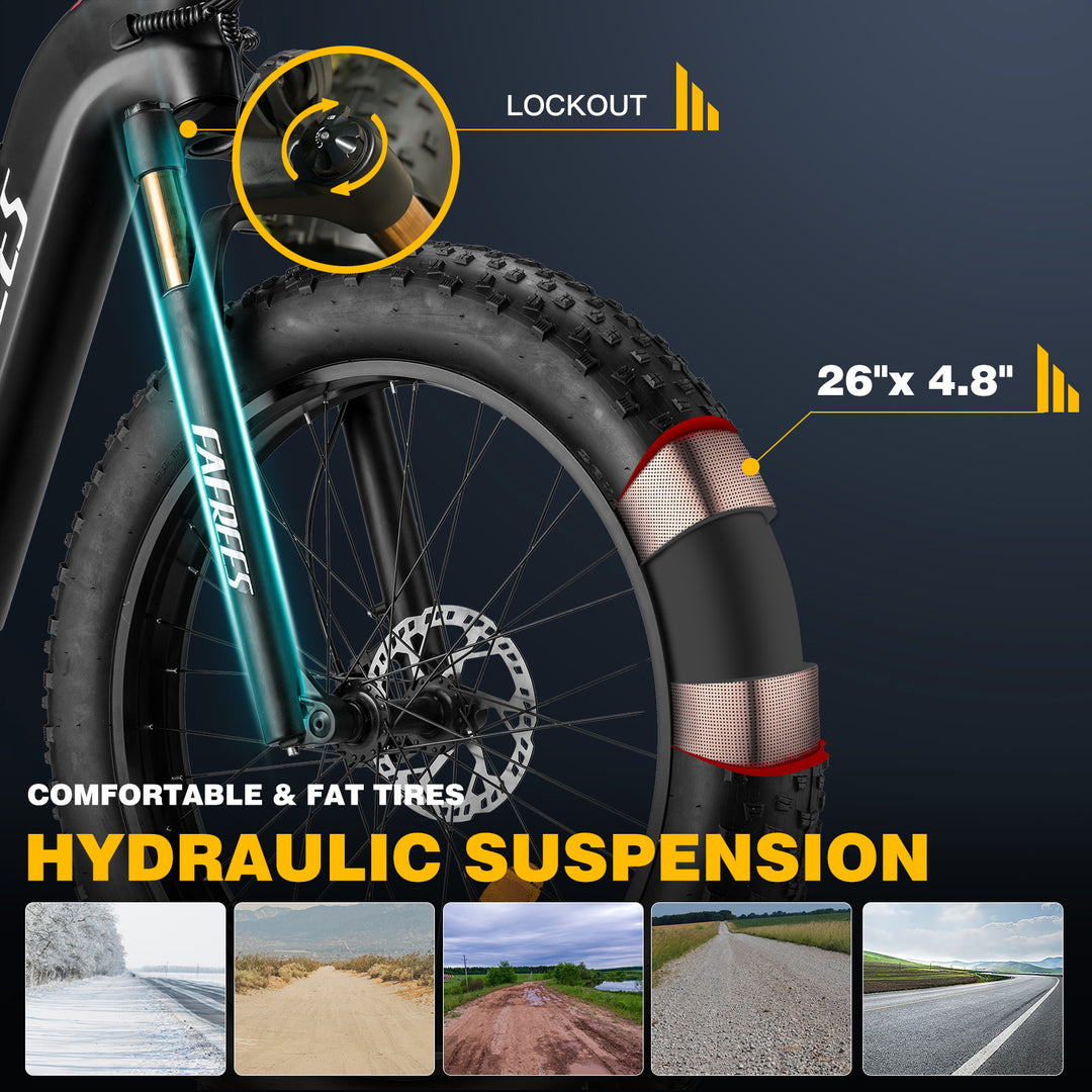 FAFREES electric bicycle,E-Mountain bike,Electric Bike,ebike,Fat Tire E-bike,city ebike,E-Cross Bike,Pedelec