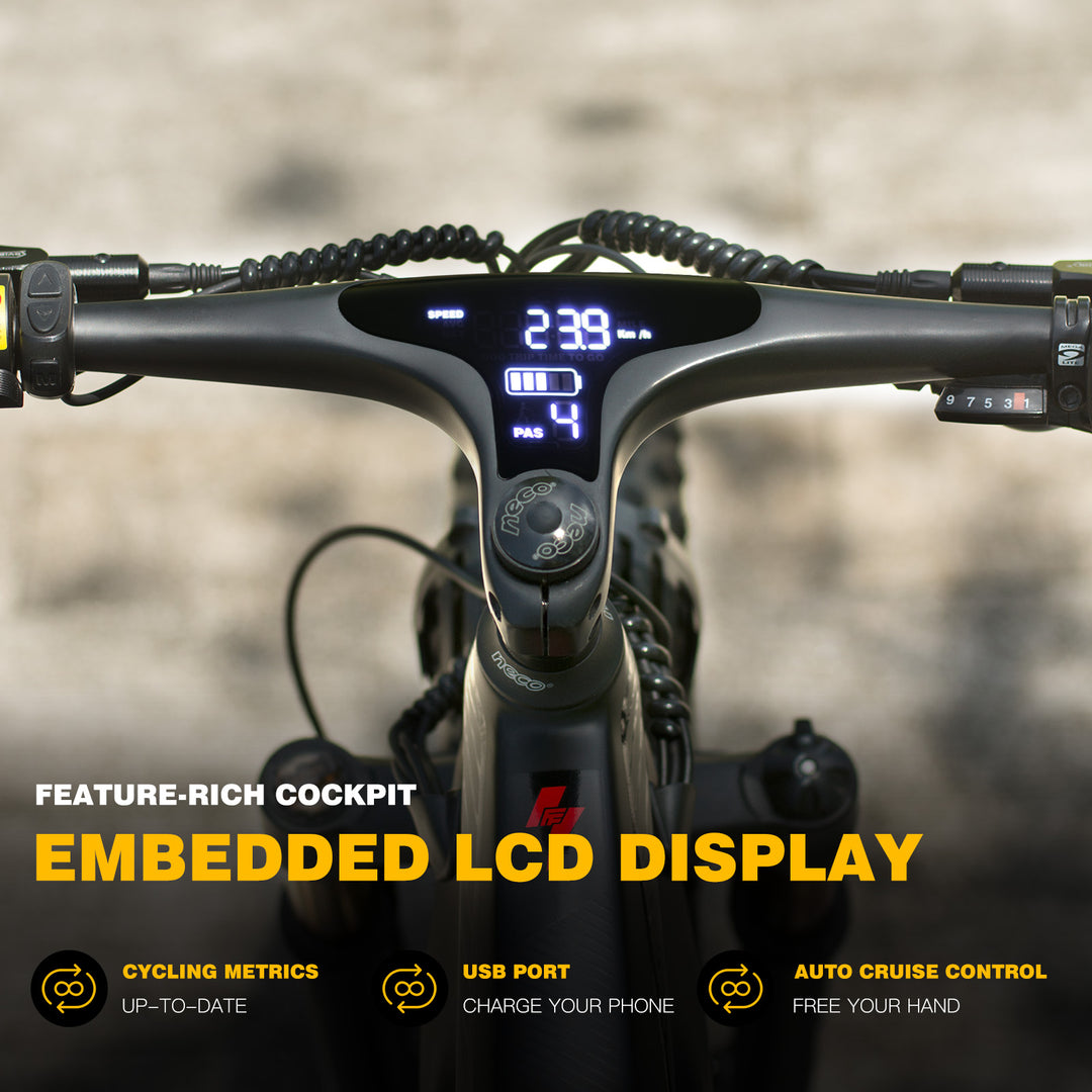 FAFREES electric bicycle,E-Mountain bike,Electric Bike,ebike,Fat Tire E-bike,city ebike,E-Cross Bike,Pedelec