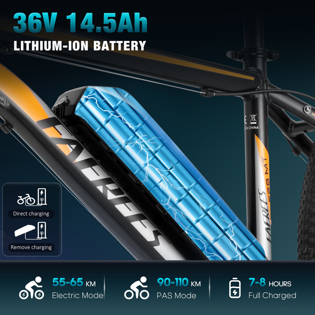 FAFREES electric bicycle,E-Mountain bike,Electric Bike,ebike,E-bike,city ebike,,Pedelec