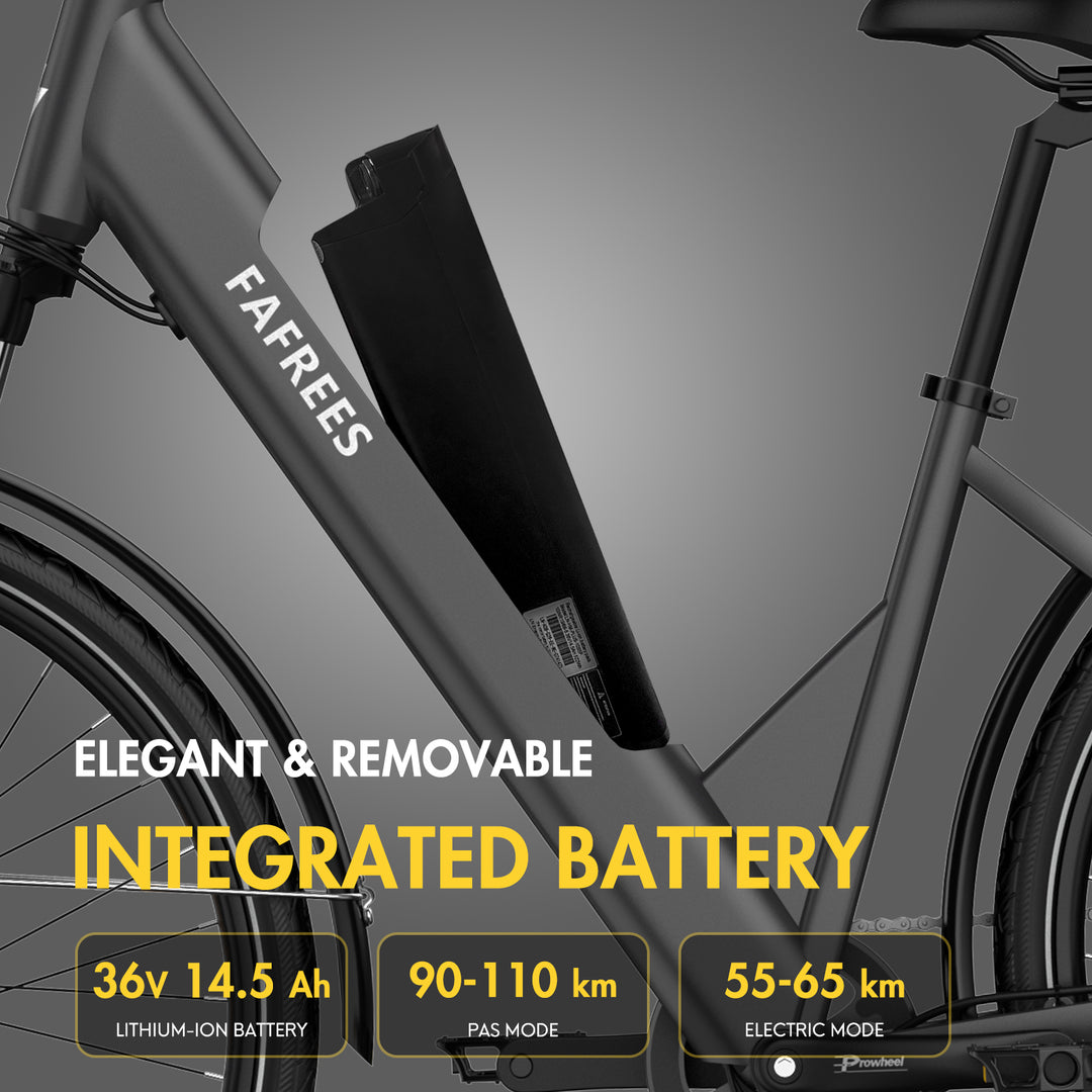 FAFREES .electric bicycle、electric bike、e-bike、power-assisted bicycle ,City Electric Bike