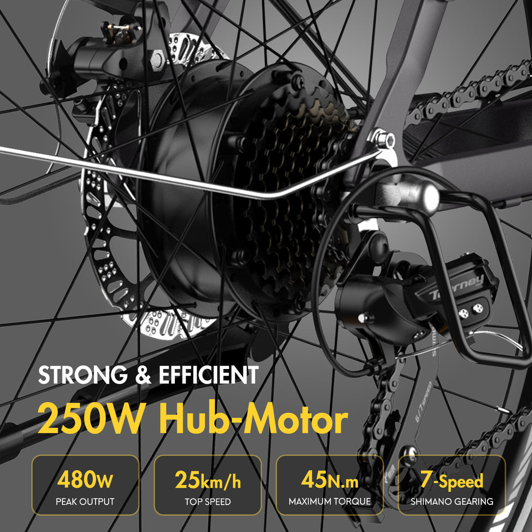 FAFREES .electric bicycle、electric bike、e-bike、power-assisted bicycle ,City Electric Bike