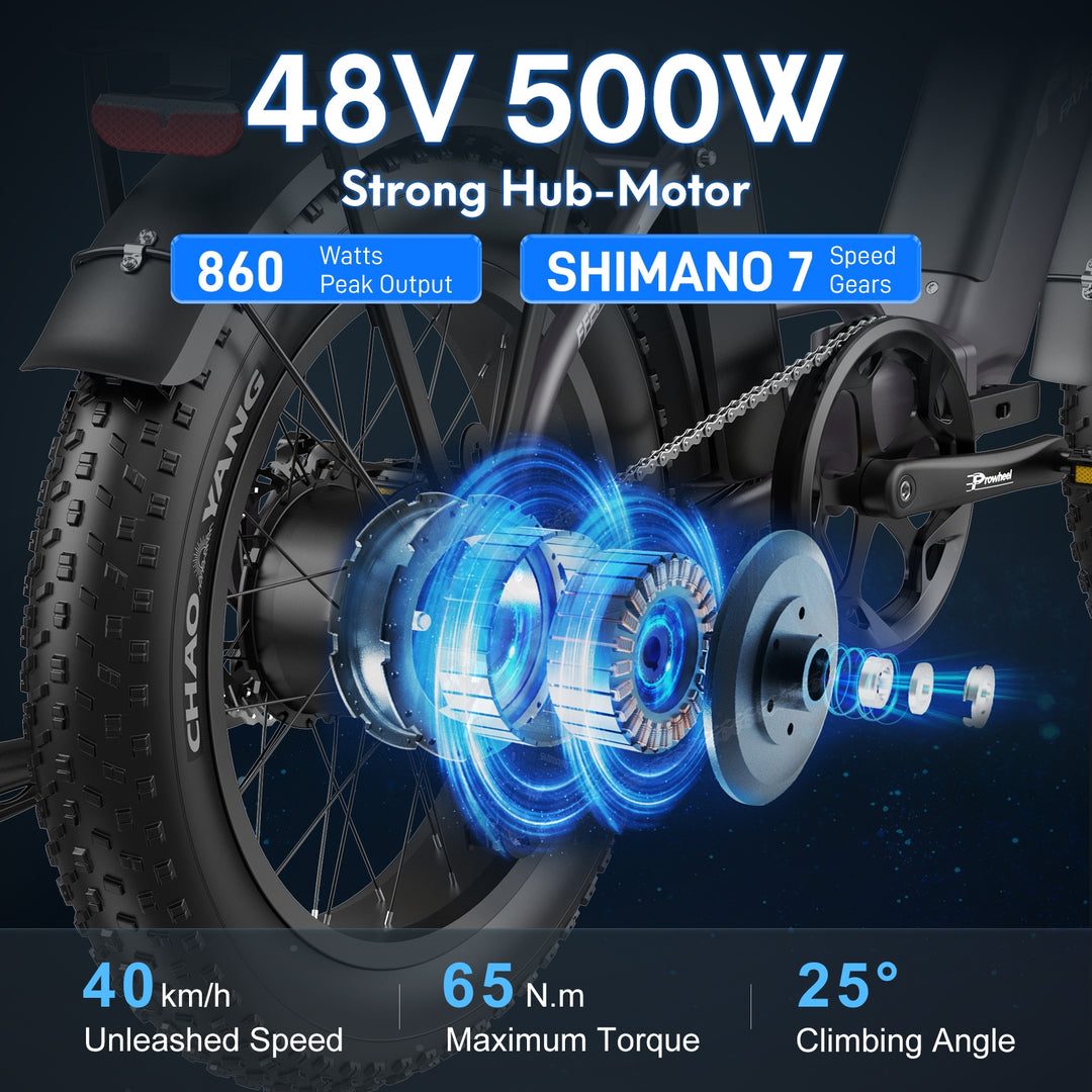 FAFREES .electric bicycle、electric bike、e-bike、motorized bicycle、power-assisted bicycle