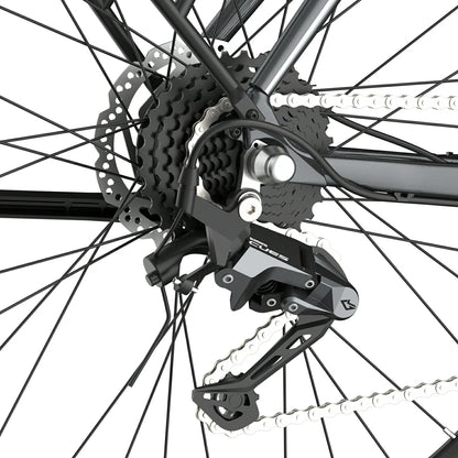 Fafrees F700M (EU) Electric Bike