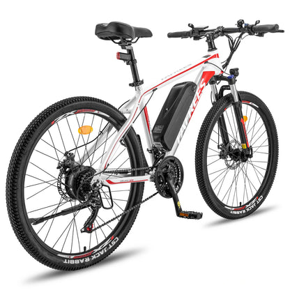 Fafrees 26 Hailong One (UK) Electric Bike