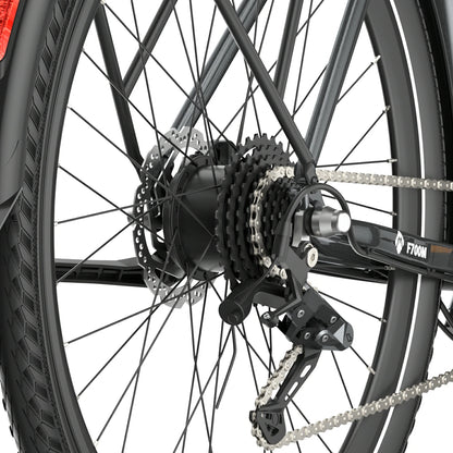 Fafrees F700M (EU) Electric Bike