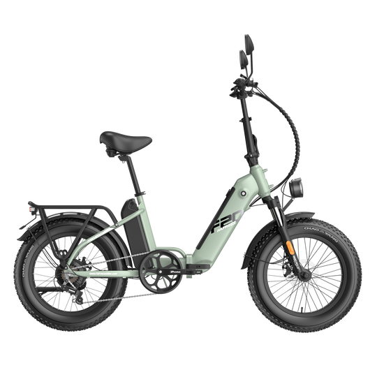 [EU] FAFREES FF20 Polar E24 Certified 24AH E-Mountainbike