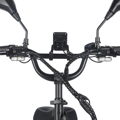 Fafrees F20 Mate 18.2AH (UK) Electric Bike