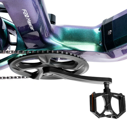 Fafrees F20 Master (EU) Electric Bike