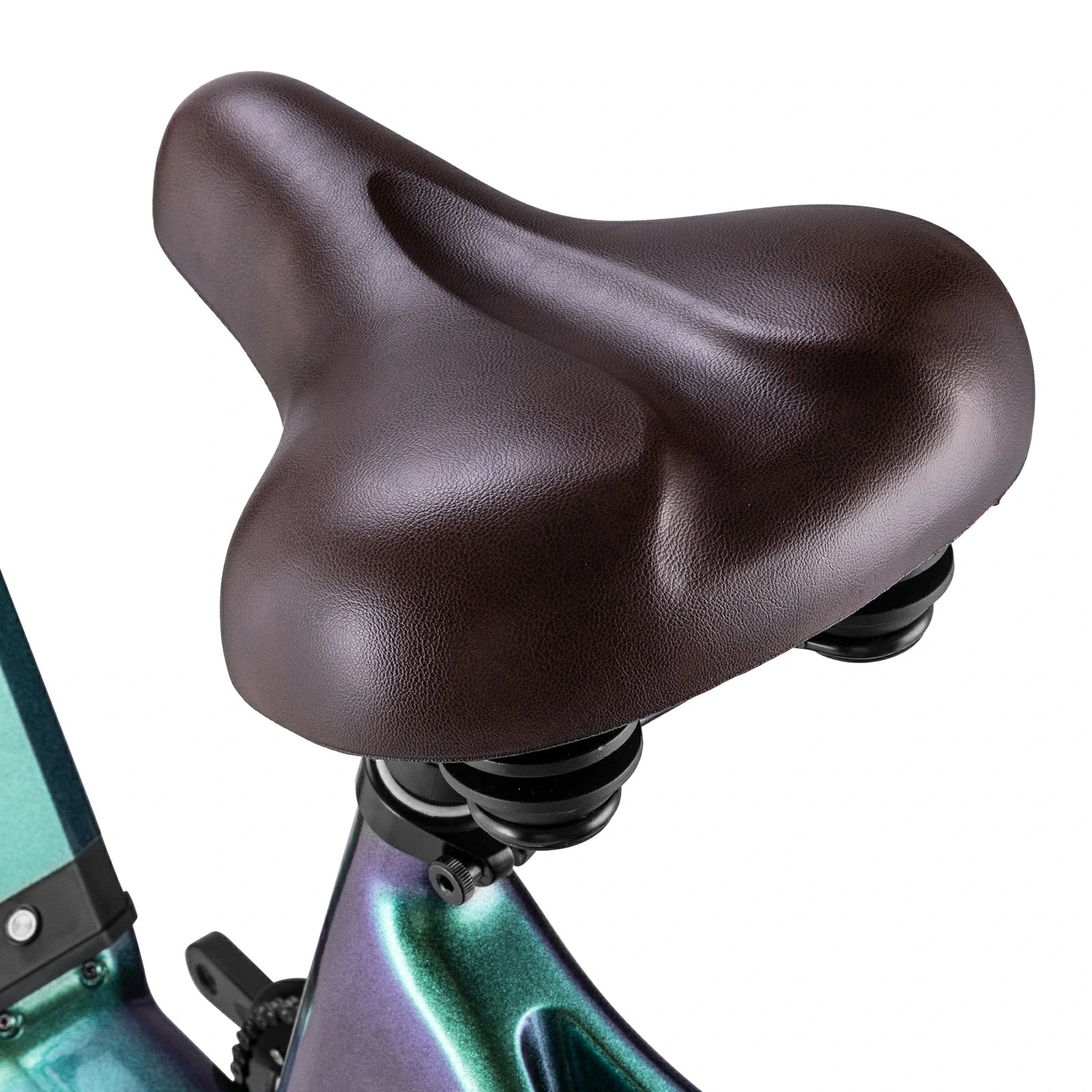 Fafrees F20 Master (EU) Electric Bike