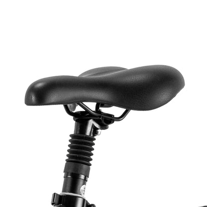 Fafrees F20 Master (EU) Electric Bike