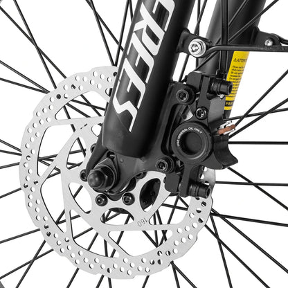 Fafrees F20 Master (EU) Electric Bike