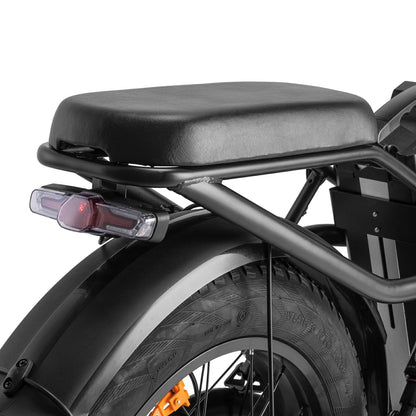 Fafrees F20 X-Max (EU) Electric Bike