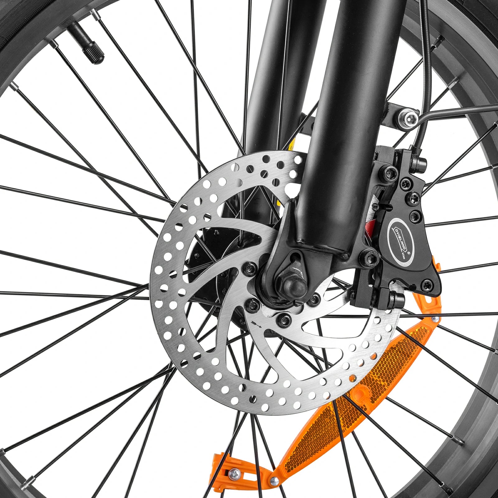 Fafrees F20 X-Max (EU) Electric Bike