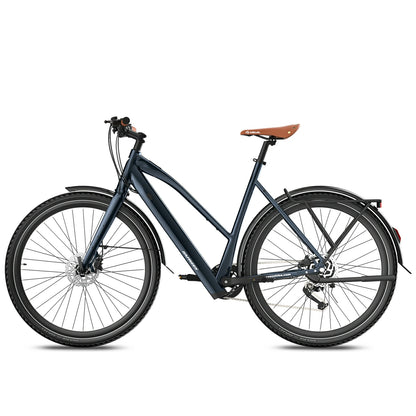 Fafrees F700W (EU) Electric Bike