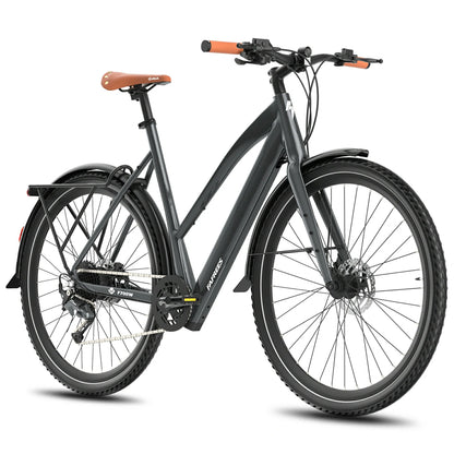 Fafrees F700W (EU) Electric Bike