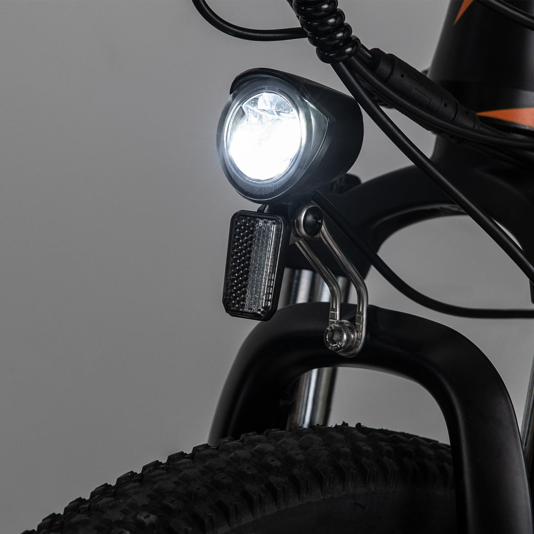 FAFREES electric bicycle，E-Mountain bike,Electric Bike,ebike,E-bike，city ebike,,Pedelec
