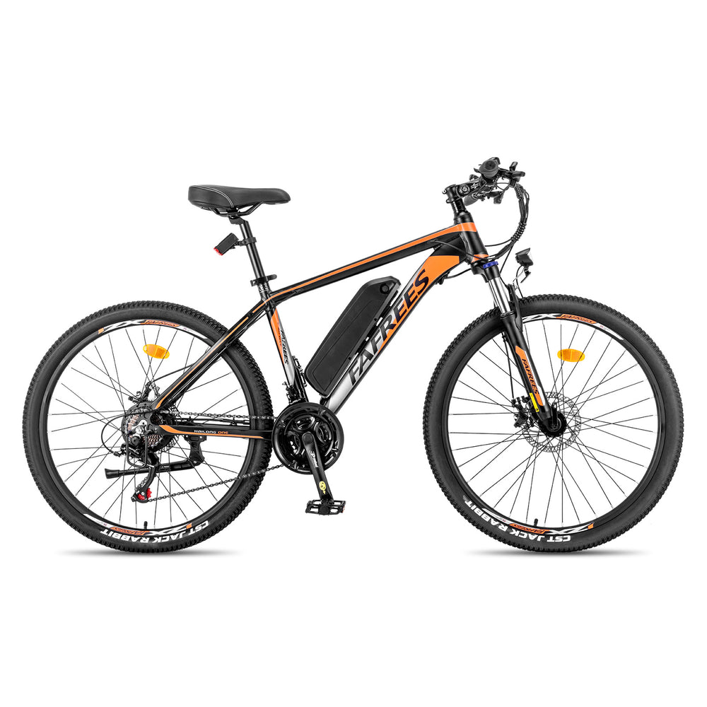 FAFREES electric bicycle，E-Mountain bike,Electric Bike,ebike,E-bike，city ebike,,Pedelec