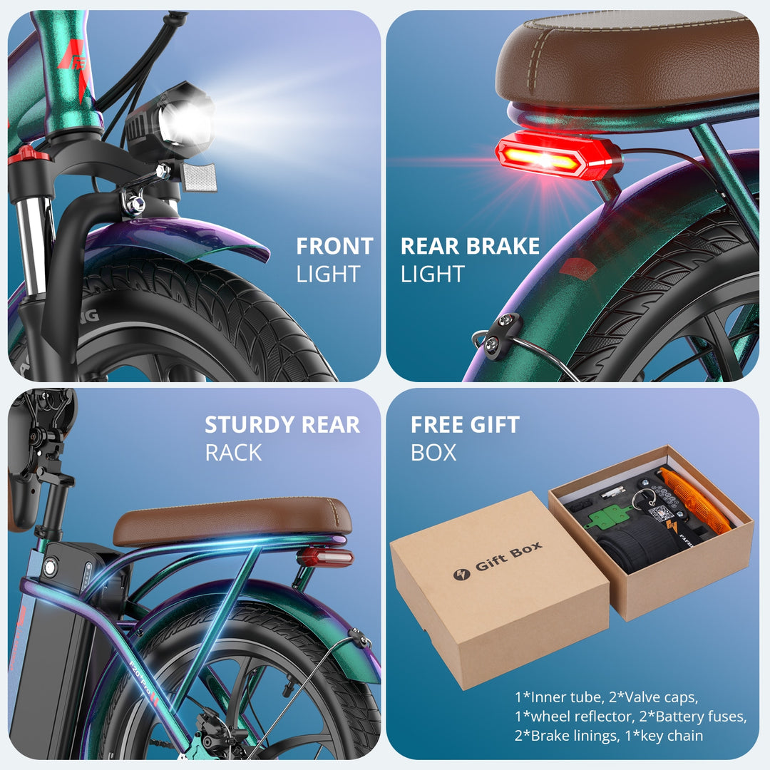 FAFREES Electric bikes ebike