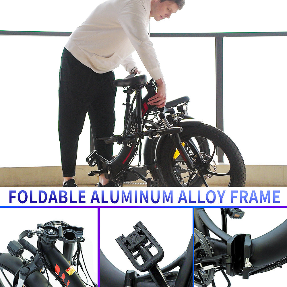 FAFREES Electric bikes ebike