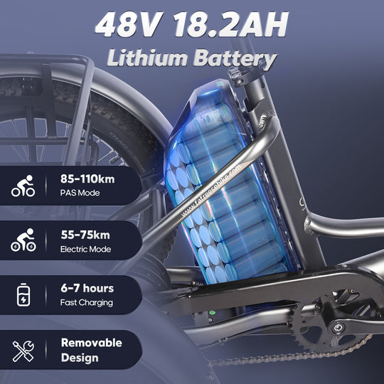 FAFREES .electric bicycle、electric bike、e-bike、motorized bicycle、power-assisted bicycle ,All Terrain Electric Bike,Off-road electric bikes,fat tires，Electric tricycle
