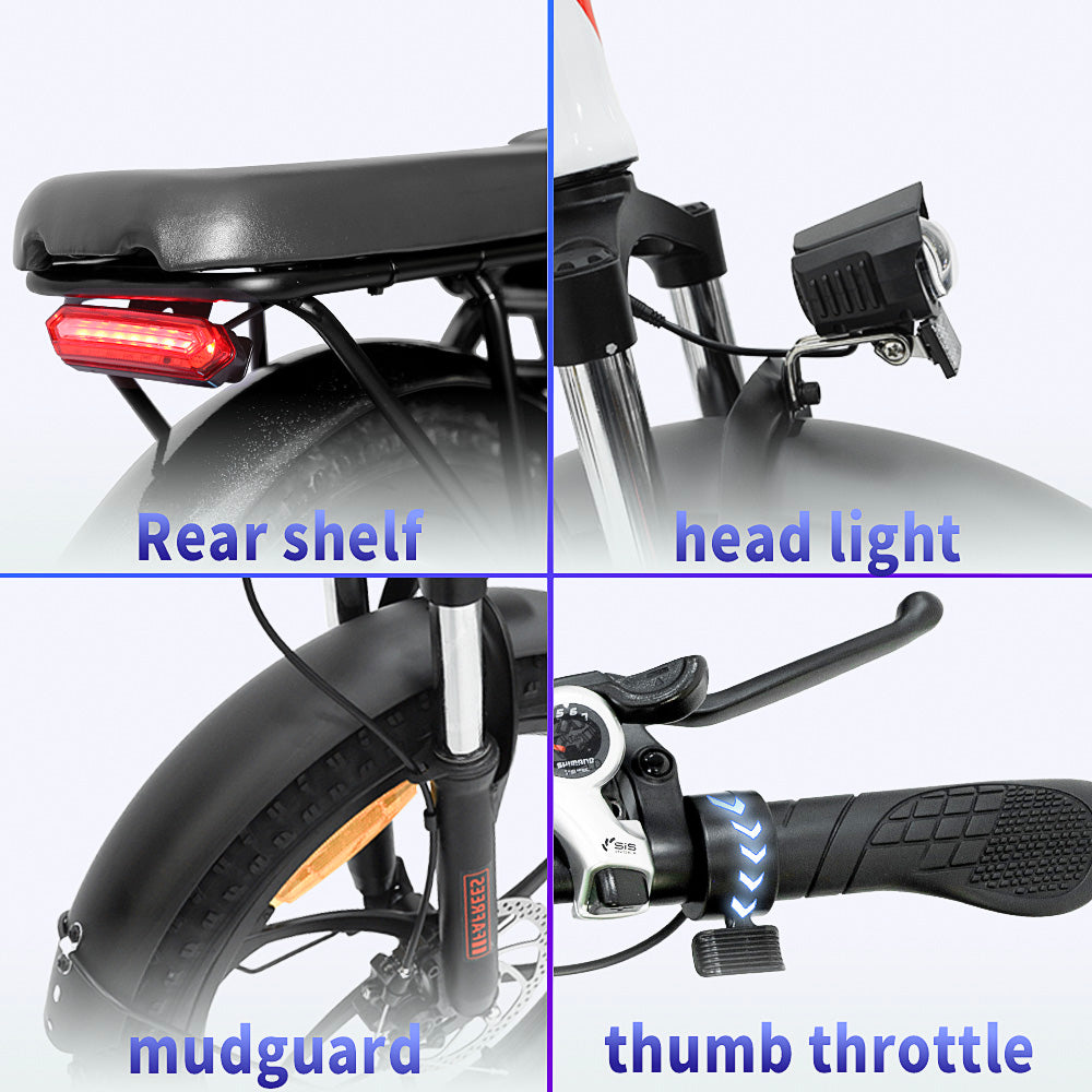 FAFREES Electric bikes ebike