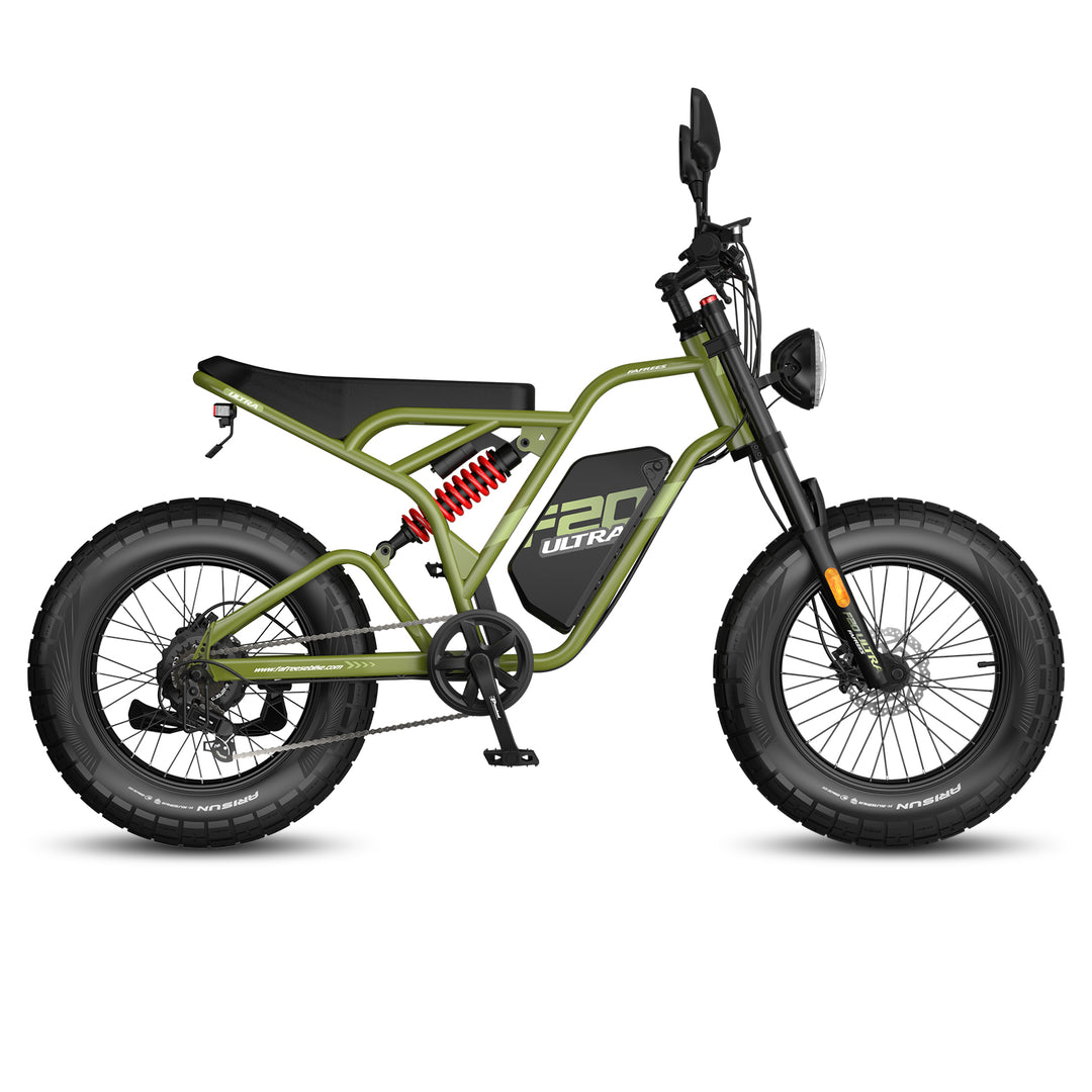 FAFREES .electric bicycle、electric bike、e-bike、motorized bicycle、power-assisted bicycle ,All Terrain Electric Bike,Off-road electric bikes,fat tires