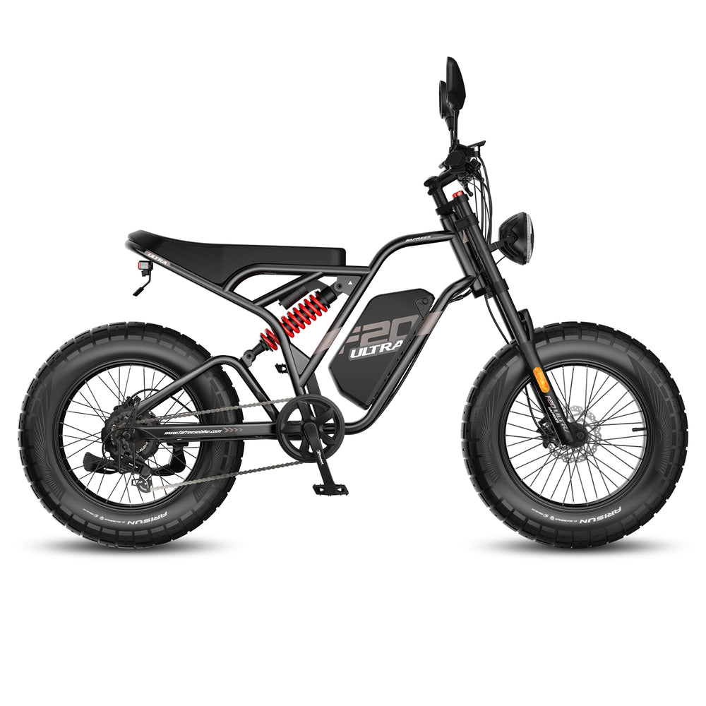 FAFREES .electric bicycle、electric bike、e-bike、motorized bicycle、power-assisted bicycle ,All Terrain Electric Bike,Off-road electric bikes,fat tires