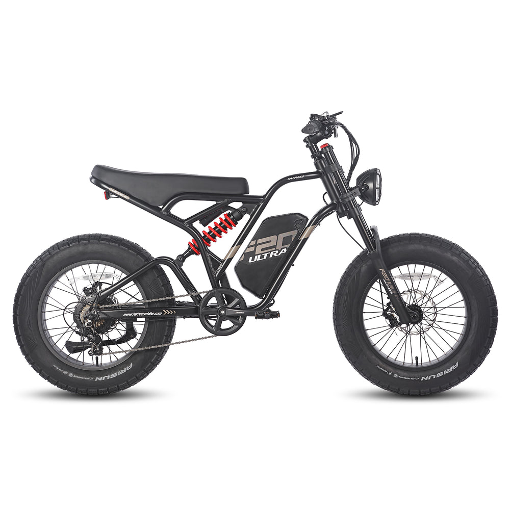 FAFREES .electric bicycle、electric bike、e-bike、motorized bicycle、power-assisted bicycle ,All Terrain Electric Bike,Off-road electric bikes,fat tires
