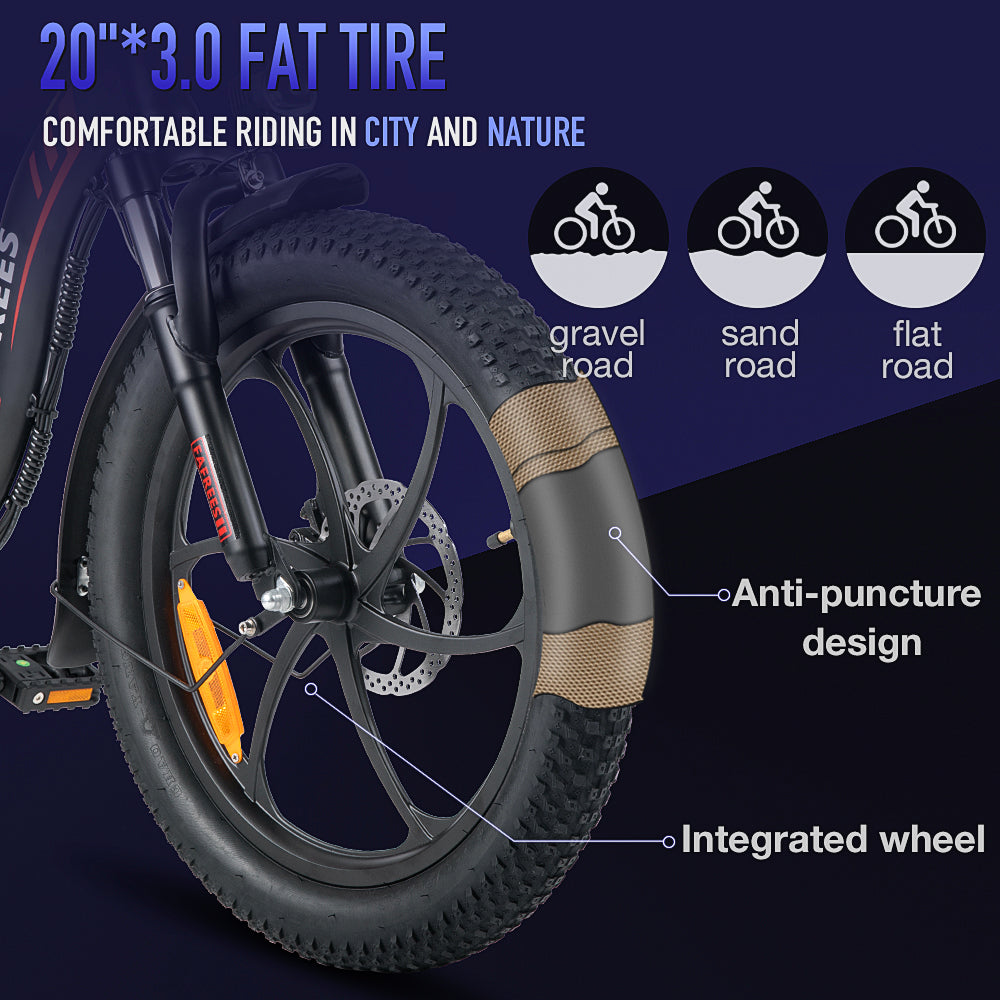 FAFREES Electric bikes ebike