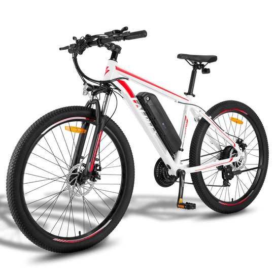 FAFREES electric bicycle，E-Mountain bike,Electric Bike,ebike,E-bike，city ebike,,Pedelec
