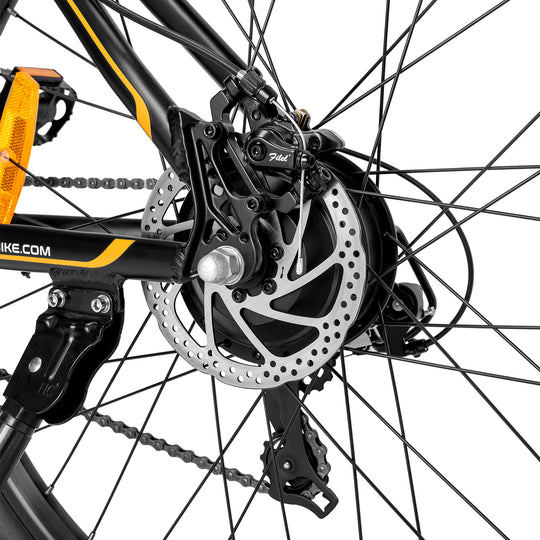 FAFREES electric bicycle，E-Mountain bike,Electric Bike,ebike,E-bike，city ebike,,Pedelec
