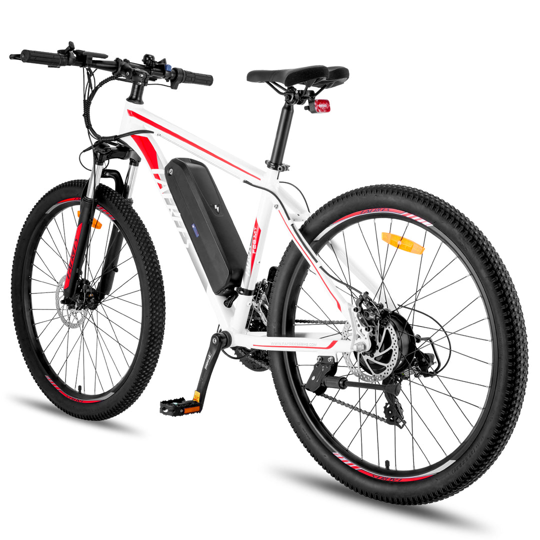 FAFREES electric bicycle，E-Mountain bike,Electric Bike,ebike,E-bike，city ebike,,Pedelec
