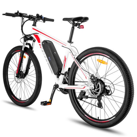 FAFREES electric bicycle，E-Mountain bike,Electric Bike,ebike,E-bike，city ebike,,Pedelec
