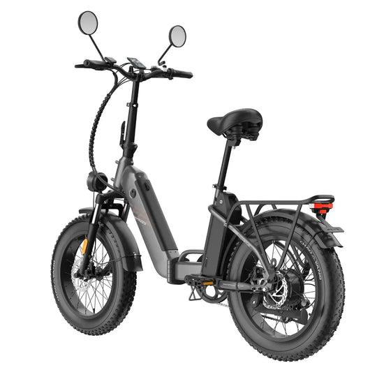[EU] FAFREES FF20 Polar E24 Certified 24AH E-Mountainbike