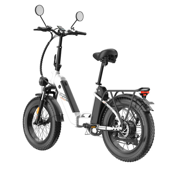 [EU] FAFREES FF20 Polar E24 Certified 24AH E-Mountainbike