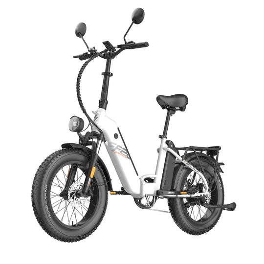 [EU] FAFREES FF20 Polar E24 Certified 24AH E-Mountainbike